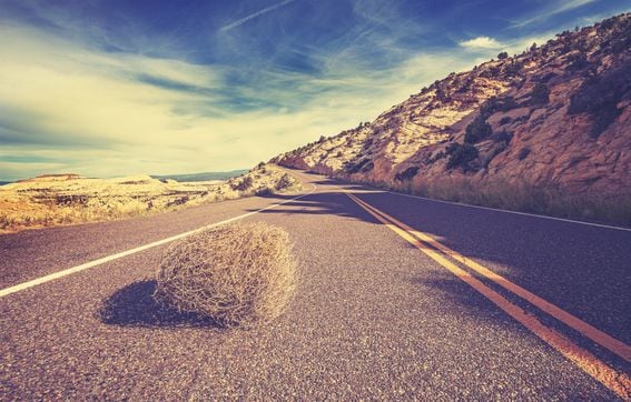 Tumbleweed on highway. (Shutterstock/Maciej Bledowski)