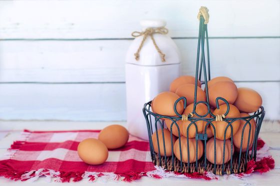 Rule #1 in investing: Don't put all your eggs in one basket. 