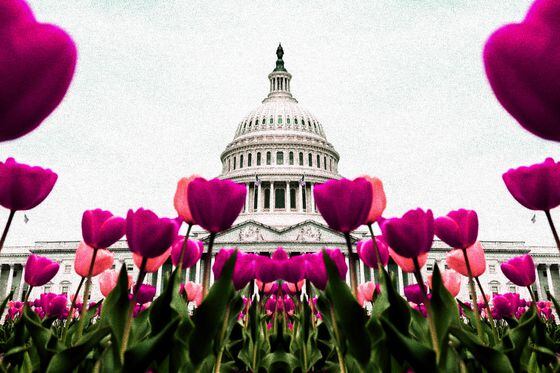 United States Capitol Building in Washington D.C (ElevenPhotographs/Unsplash, modified by CoinDesk)