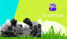 Projects To Watch: Shamba