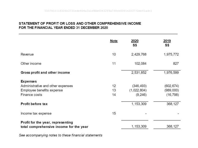 Three Arrows Capital's 2020 Return (Retrieved from the Accounting and Corporate Regulatory Authority)