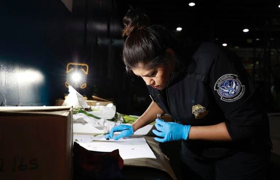 A CBP officer inspects a shipment of flowers entering the U.S.