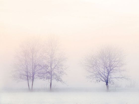 CDCROP: Winter Landscape