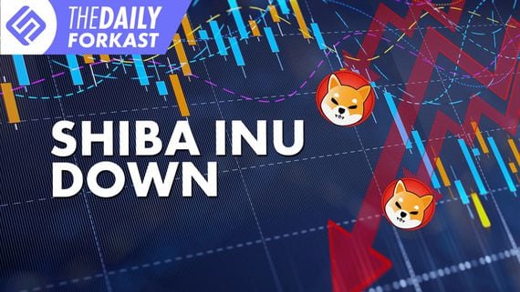 Shibu Inu Coin Struggles, Blockchain an Inflation Hedge Solution?