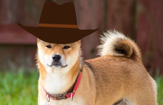 doge-cowboy-hat2a