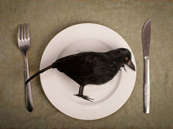 eat crow plate