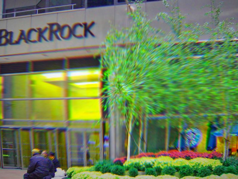 BlackRock's Bitcoin ETF Snaps 71-Day Inflow Streak, Data Show