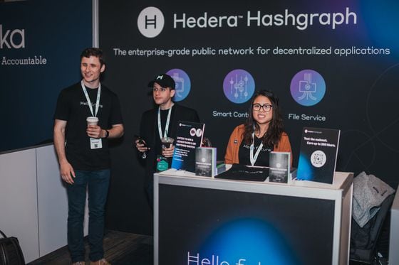 Hedera Hashgraph (CoinDesk archives)