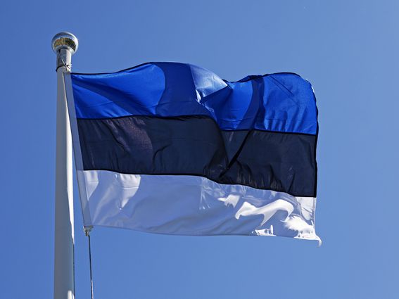 CDCROP: Estonian Flag Waving In The Summer Wind (Peter Ekvall/Getty Images)