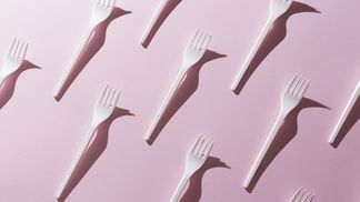 fork, plastic