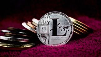 litecoin, coins