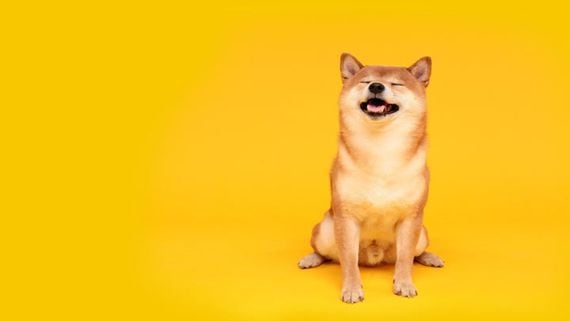 Dogecoin Jumps Amid Hopes Token Plays Larger Role in X Platform Rebrand