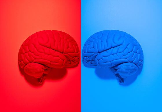 Blue brain versus red brain depicting Bitcoin NFT debate