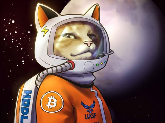 CDCROP: Space Cat (Hodlonaut)