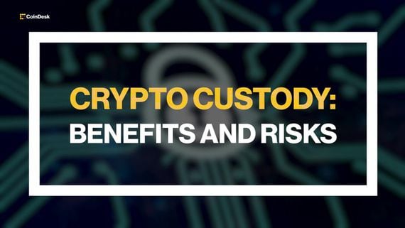 Crypto Custody Explained: Benefits and Risks