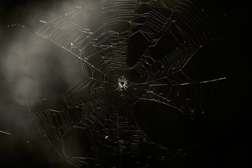 The Week in Dark Web – 12 October 2022 – Access and Database Sales