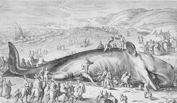 "Beached Whale," 1598, image via Metropolitan Museum of Art