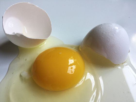 CDCROP: Cracked Egg (CraftyPease/Pixabay)