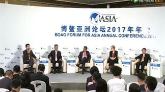 Boao Forum, China, Panel