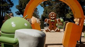 An image from the Googleplex, Mountain View, USA.