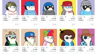 Pudgy Penguins are a collection of 8,888 NFTs on the Ethereum blockchain. (OpenSea)