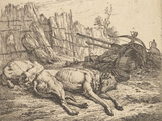 CDCROP: Sleeping Dogs (Metropolitan Museum of Art)