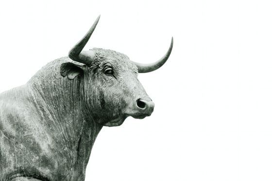 Photo of a bull by Hans Eiskonen on Unsplash