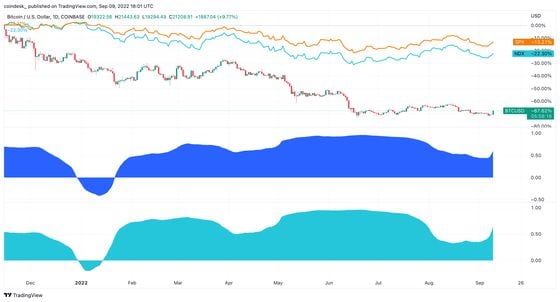 TradingView chart shows the correlation between bitcoin and equity prices rising over the past week. (TradingView)