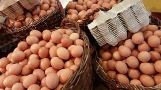 Eggs in multiple baskets. (Alexandra Koch/Pixabay)