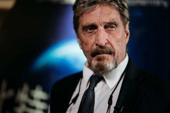 John McAfee in 2017 (Anthony Kwan/Bloomberg/Getty)
