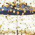 Coins raining down on an umbrella (Getty Images)