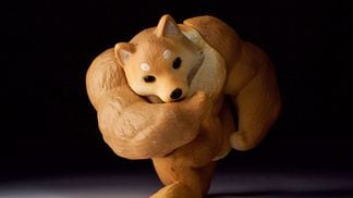 CDCROP: Muscular doge charging forward in darkness on white ground (Getty Images)