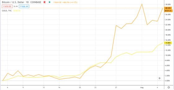 Bitcoin (orange) versus gold (yellow) the past month. 