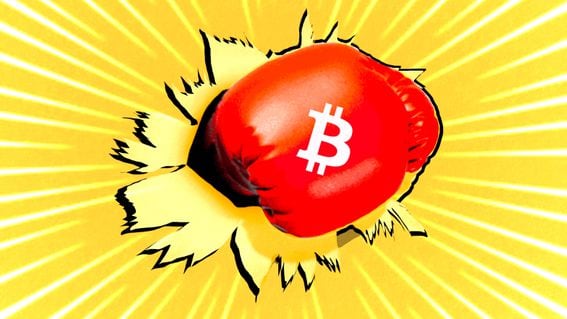 Bitcoin Boxing