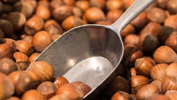 Hazel nuts, scoop (AndreasAux/Pixabay)