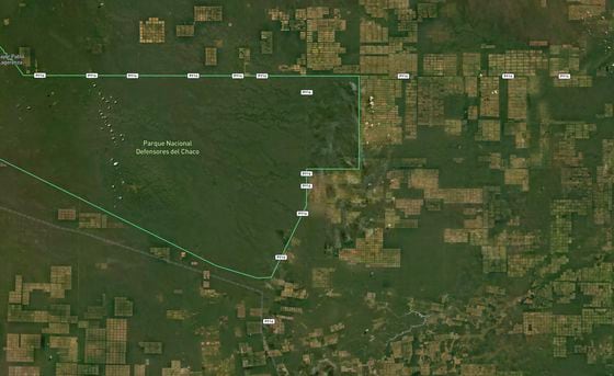 A satellite image shows the encroachment of cattle ranches. (GainForest)