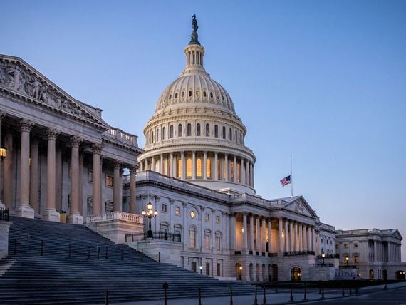 U.S. Capitol (Diego Grand/Shutterstock)