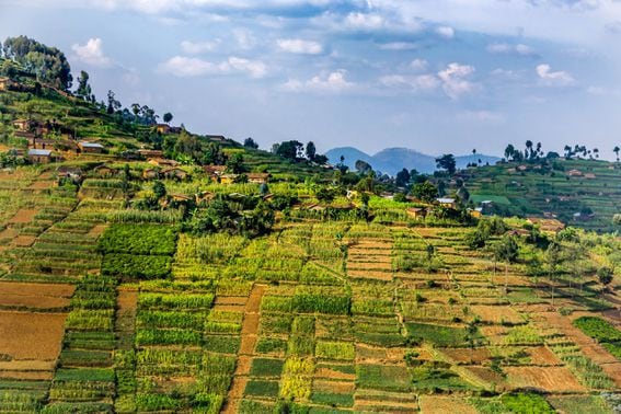 rwanda, africa