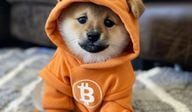 Leonidas's DOG•GO•TO•THE•MOON token secured a coveted satoshi during the fourth Bitcoin halving. (DOG•GO•TO•THE•MOON)