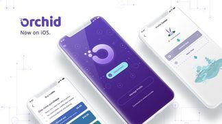 Orchid has launched its  VPN application on Apple's app store. (Orchid)