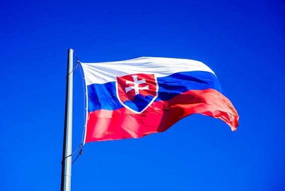 Slovakian lawmakers voted on crypto tax-cutting (Leonhard Niederwimmer/Pixabay