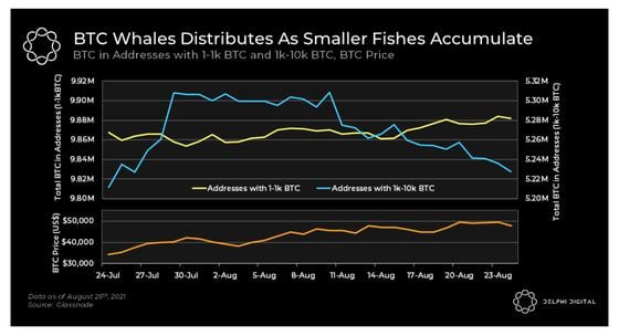 Chart shows holdings of large bitcoin whales and smaller traders.

Source: Delphi Digital 