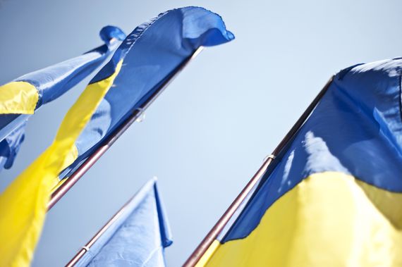 Ukraine flags  (Lucy Shires/Getty Images)