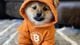 Leonidas's DOG•GO•TO•THE•MOON token secured a coveted satoshi. (DOG•GO•TO•THE•MOON)