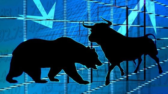 Bear vs Bull Market economy (Pixabay)