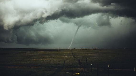 Tornado Cash Developer Roman Storm Will Go to Trial in 2024