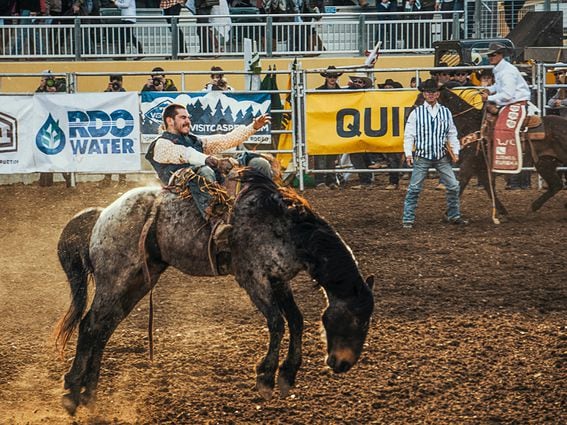 CDCROP: Rodeo cowboy bucking bronco horse riding (Jordan Heinrichs/Unsplash)