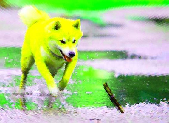 Dogecoin, launched as a joke in the image of the Shiba Inu dog breed, is lunging forward.