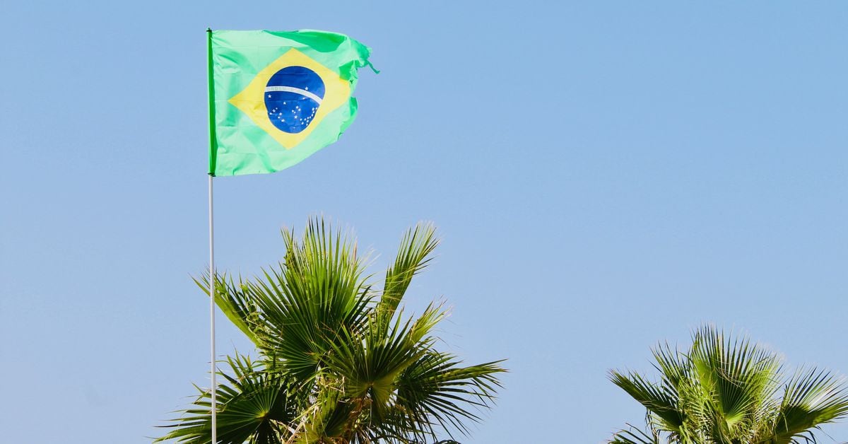 Brazil’s Securities Regulator Probes Crypto Exchange Mercado Bitcoin on Token Issuance