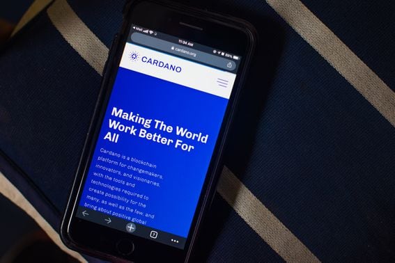 Mobile showing Cardano's website (Tiffany Hagler-Geard/Bloomberg via Getty Images)